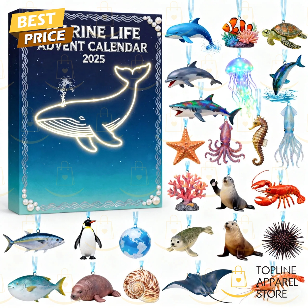 2025 Marine Live Advent Calendar 2025 Marine Live Advent Calendar