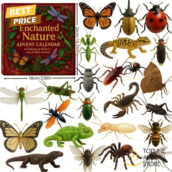 Nature Trick Advent Calendar