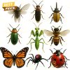 nature trick advent calendar 4 EBGyf.jpg